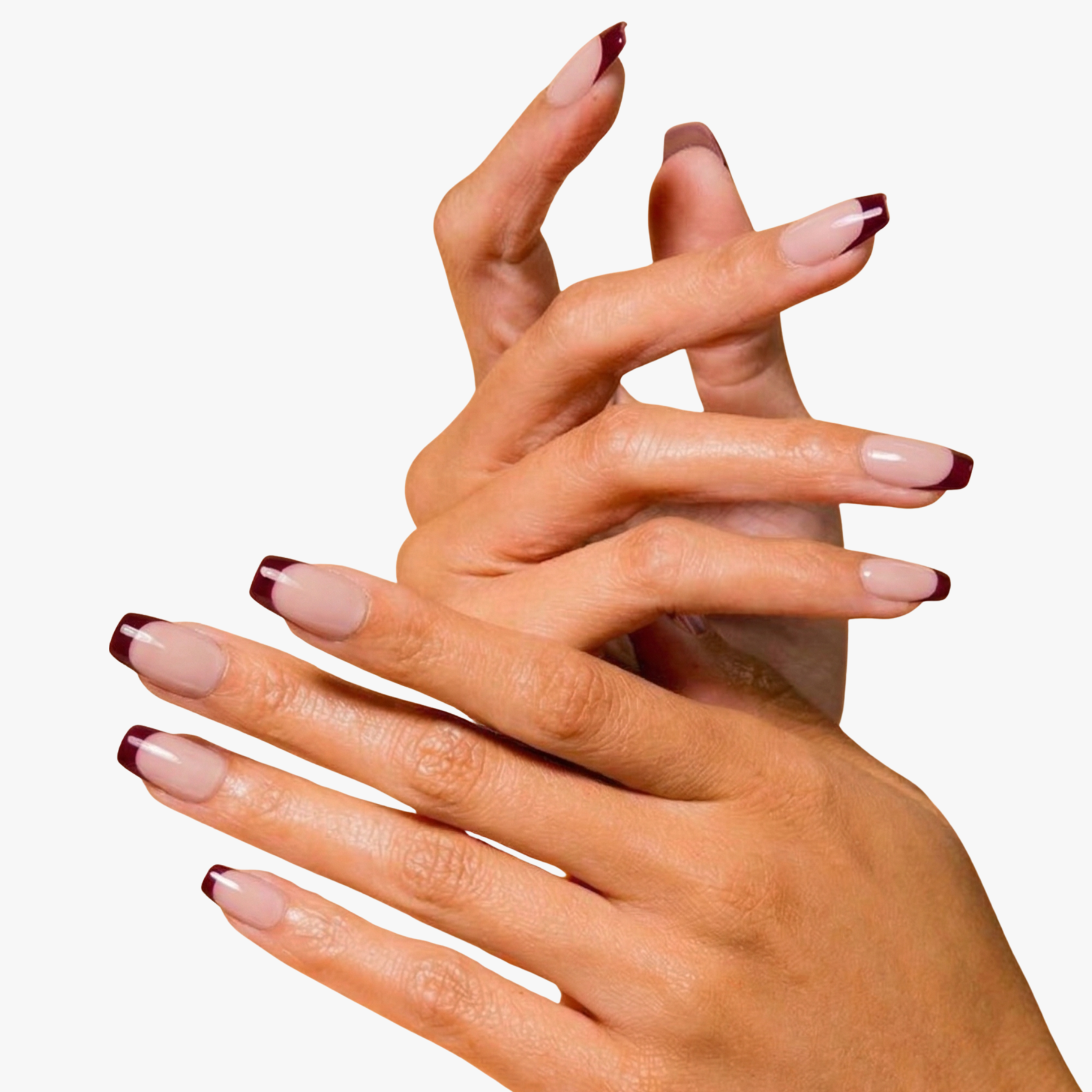 Gossip Girl | Reusable Press-On Nails | 24 Pcs | Burgundy French Tips | Square Shape | Medium